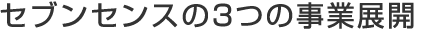 株式会社セブンセンスの3つの事業展開
